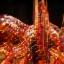 Isaw