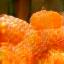 Kwek-kwek